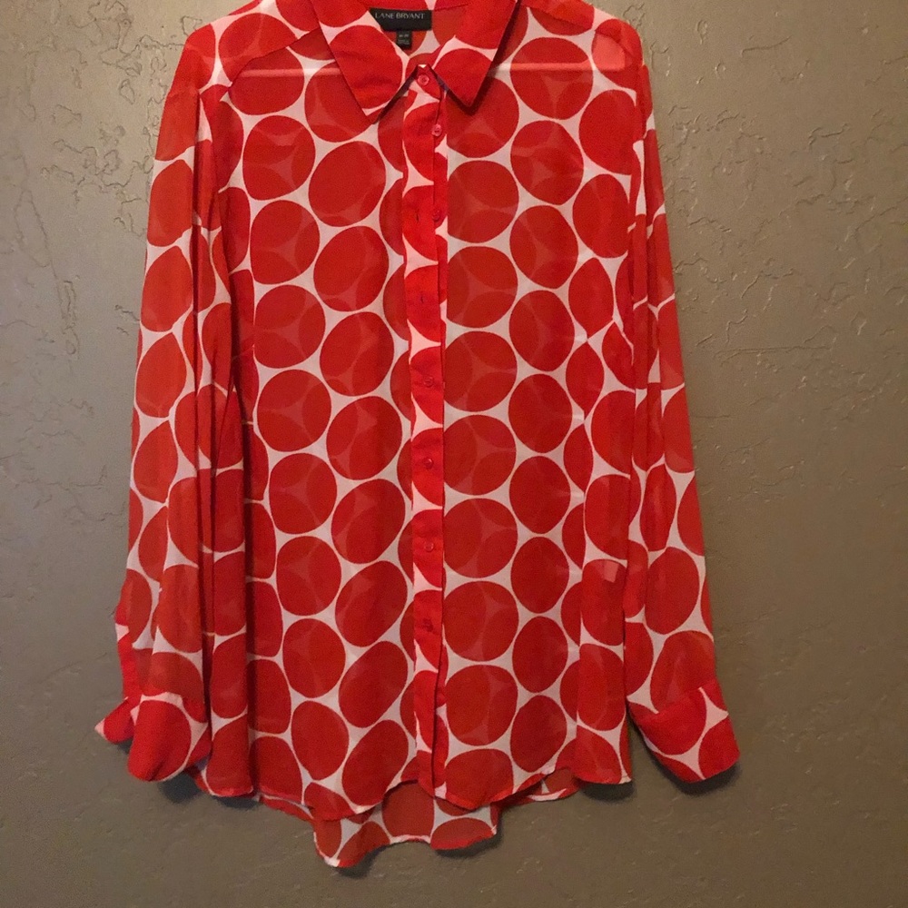 Button down sheer blouse
